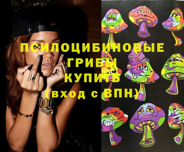 круглые Абаза
