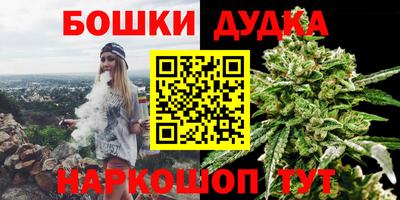 спиды Славгород
