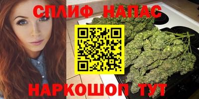 наркотики Сланцы