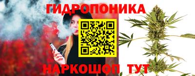 наркотики Сланцы