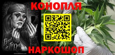 шишки Славянск-на-Кубани