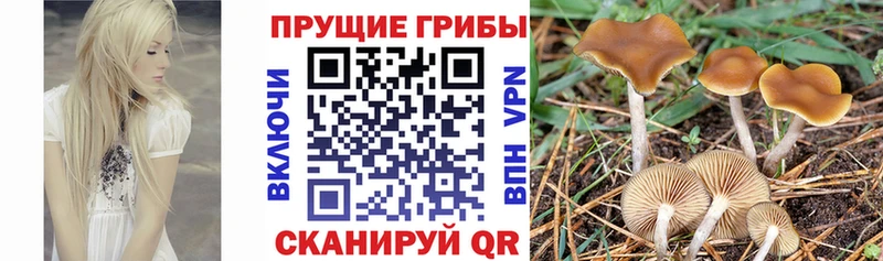 как найти   blacksprut tor  Галлюциногенные грибы мицелий  Стерлитамак 