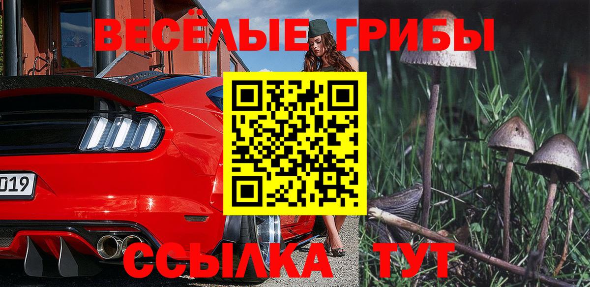 Стерлитамак  Псилоцибиновые грибы Psilocybe  цена   Вход с VPN 